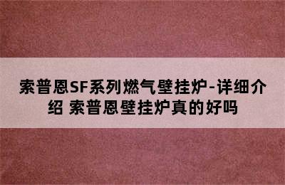 索普恩SF系列燃气壁挂炉-详细介绍 索普恩壁挂炉真的好吗